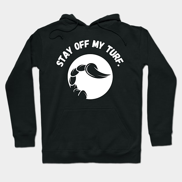 Scorpion ' Stay of my Turf Hoodie by Syntax Wear